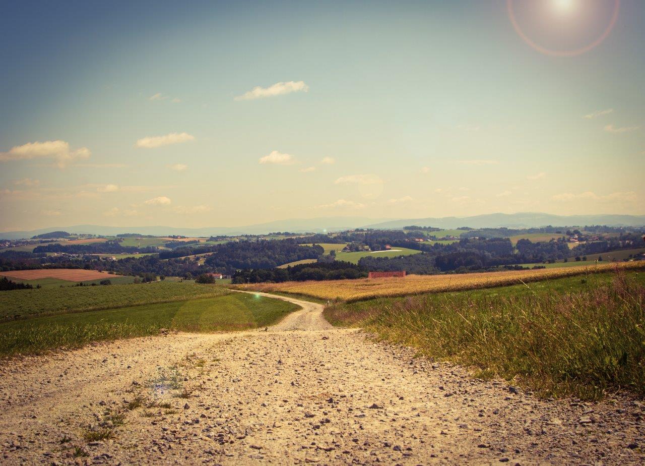 Landschaft um Kirchberg vorm Wald